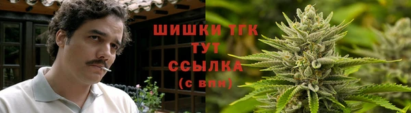 прущая мука Арсеньев