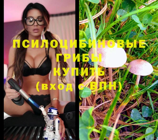 mix Армянск