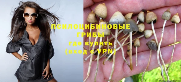 прущая мука Арсеньев
