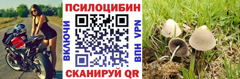 Галлюциногенные грибы Cubensis  хочу наркоту  Бабушкин 